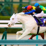 Japan horse racing